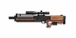 Walther WA 2000